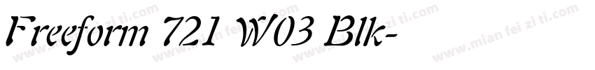 Freeform 721 W03 Blk字体转换